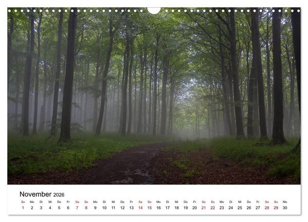Produktbild: Traumhaftes R&uuml;gen (Wandkalender 2026 DIN A3 quer), CALVENDO Monatskalender