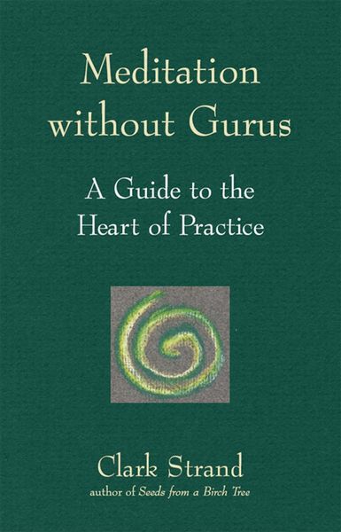 Produktbild: Meditation without Gurus