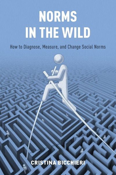 Produktbild: Norms in the Wild
