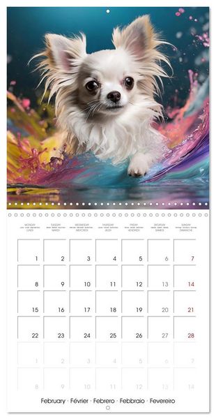 Produktbild: Colourful Splash Dogs (Wall Calendar 2027 12 &times; 12 Inch) CALVENDO 12 Month Wall Calendar