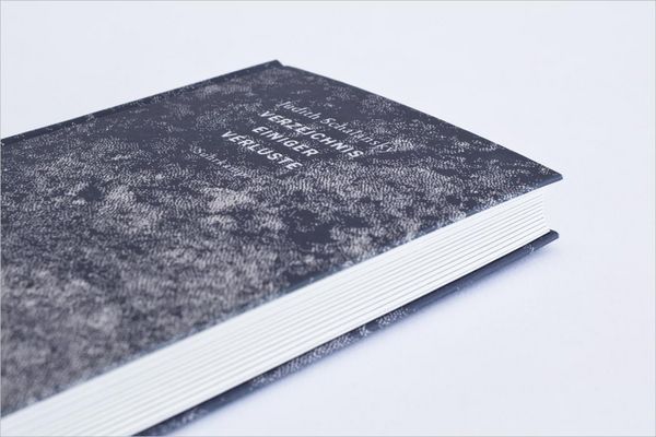 Produktbild: Verzeichnis einiger Verluste