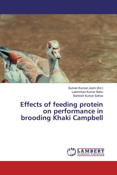 Produktbild: Effects of feeding protein on performance in brooding Khaki Campbell