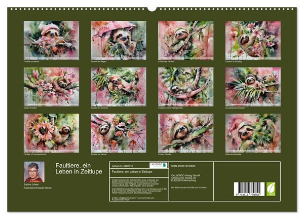 Produktbild: Faultiere, ein Leben in Zeitlupe (hochwertiger Premium Wandkalender 2026 DIN A2 quer), Kunstdruck in Hochglanz