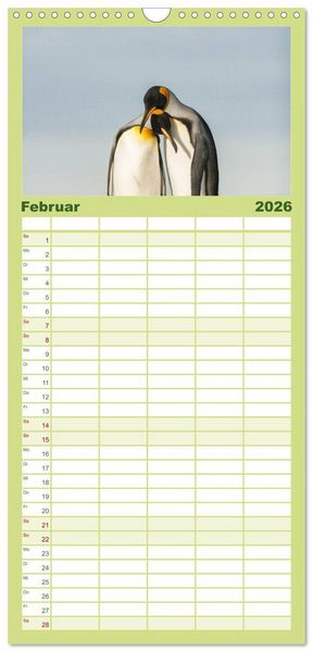 Produktbild: Familienplaner 2026 - Pinguine - Watscheln im festlichen Kleid mit 5 Spalten (Wandkalender, 21 x 45 cm) CALVENDO