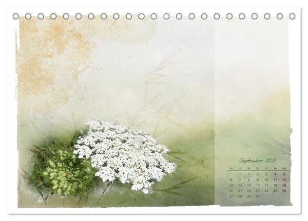 Produktbild: Natur und Farbe Fotografie trifft Aquarell (Tischkalender 2027 DIN A5 quer), CALVENDO Monatskalender