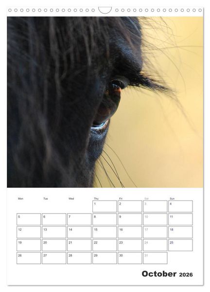 Produktbild: Shire Horses The Gentle Giants (Wall Calendar 2026 DIN A3 portrait), CALVENDO 12 Month Wall Calendar