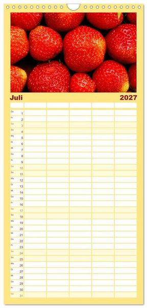 Produktbild: Familienplaner 2027 - Alles in Rot mit 5 Spalten (Wandkalender, 21 x 45 cm) CALVENDO