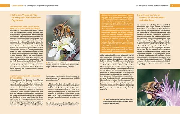 Produktbild: Bienenbau und Bienenbeute