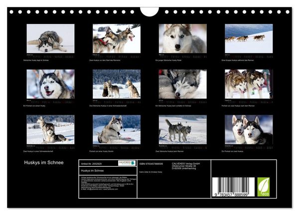 Produktbild: Huskys im Schnee (Wandkalender 2026 DIN A4 quer), CALVENDO Monatskalender