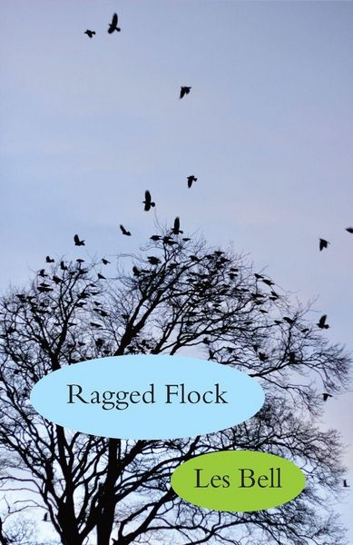 Produktbild: Ragged Flock