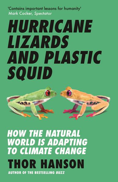Produktbild: Hurricane Lizards and Plastic Squid