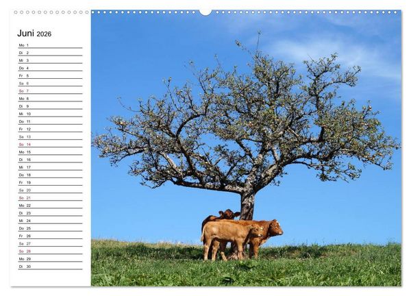 Produktbild: S&uuml;dschwarzwald - Impressionen (Wandkalender 2026 DIN A2 quer), CALVENDO Monatskalender