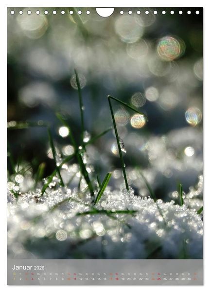 Produktbild: Mit Bokeh-Fotografie durch das Jahr (Wandkalender 2026 DIN A4 hoch), CALVENDO Monatskalender