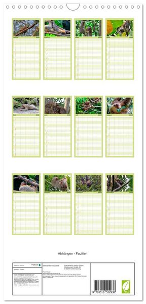 Produktbild: Familienplaner 2026 - Abh&auml;ngen - Faultier mit 5 Spalten (Wandkalender, 21 x 45 cm) CALVENDO