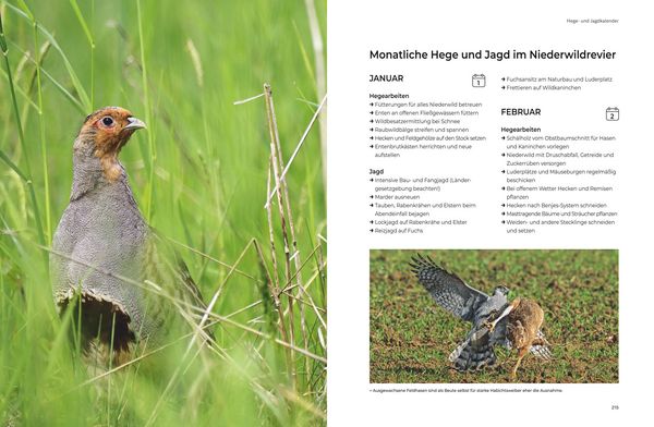 Produktbild: Das gro&szlig;e BLV Handbuch Niederwild