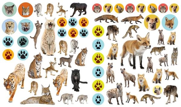 Produktbild: Eyelike Stickers: Wild Animals