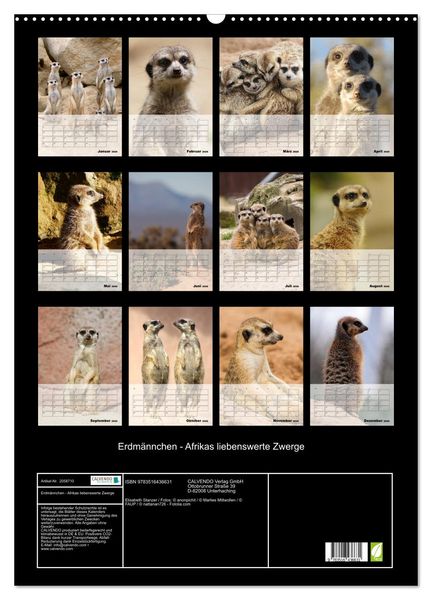 Produktbild: Erdm&auml;nnchen - Afrikas liebenswerte Zwerge (Wandkalender 2026 DIN A2 hoch), CALVENDO Monatskalender