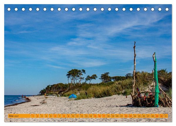 Produktbild: Wilder Dar&szlig;er Weststrand (Tischkalender 2027 DIN A5 quer), CALVENDO Monatskalender