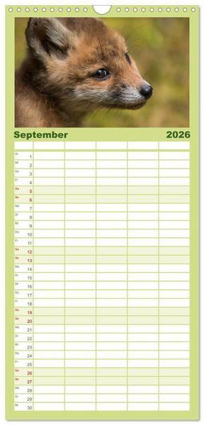 Produktbild: Familienplaner 2026 - Bei den Jungf&uuml;chsen mit 5 Spalten (Wandkalender, 21 x 45 cm) CALVENDO