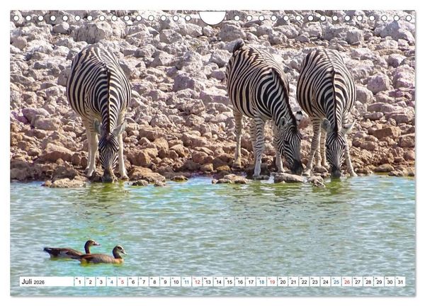 Produktbild: Namibia, Faszination W&uuml;ste und Tierwelt (Wandkalender 2026 DIN A4 quer), CALVENDO Monatskalender