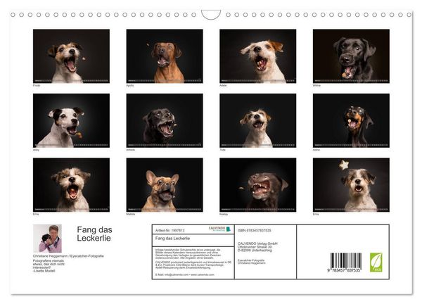 Produktbild: Fang das Leckerlie (Wandkalender 2026 DIN A3 quer), CALVENDO Monatskalender