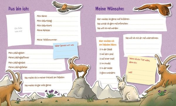Produktbild: Die Gr&uuml;nen Piraten &ndash; Meine Freunde