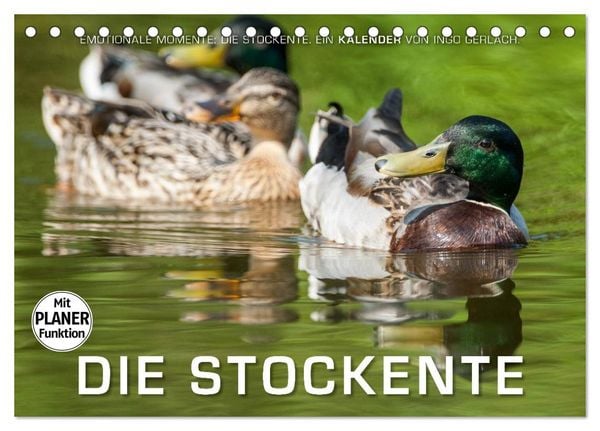 Produktbild: Emotionale Momente: Die Stockente. (Tischkalender 2026 DIN A5 quer), CALVENDO Monatskalender