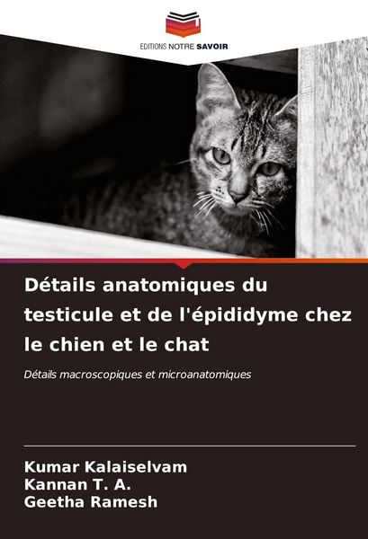Produktbild: D&eacute;tails anatomiques du testicule et de l'&eacute;pididyme chez le chien et le chat