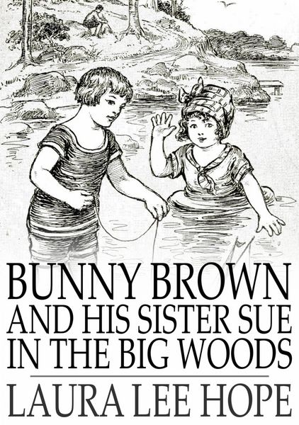 Produktbild: Bunny Brown and His Sister Sue in the Big Woods
