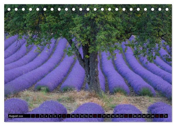 Produktbild: Provence im Rausch der Farben (Tischkalender 2026 DIN A5 quer), CALVENDO Monatskalender