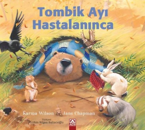 Produktbild: Tombik Ayi Hastalaninca