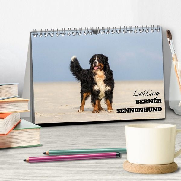 Produktbild: Liebling BERNER SENNENHUND (Tischkalender 2026 DIN A5 quer), CALVENDO Monatskalender