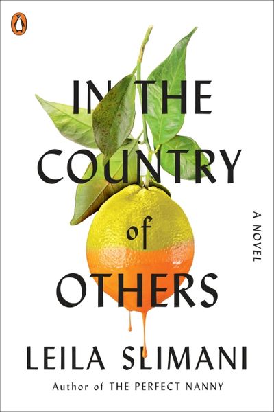 Produktbild: In the Country of Others