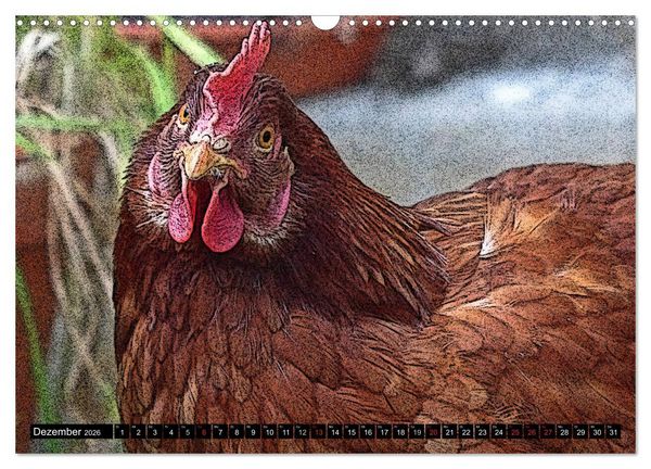 Produktbild: Die H&uuml;hner sind los! (Wandkalender 2026 DIN A3 quer), CALVENDO Monatskalender