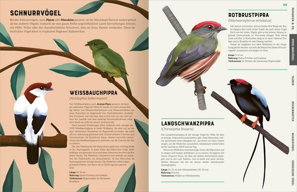 Produktbild: Das gro&szlig;e Lexikon der V&ouml;gel