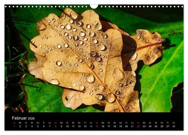 Produktbild: Wassertropfen (Wandkalender 2026 DIN A3 quer), CALVENDO Monatskalender