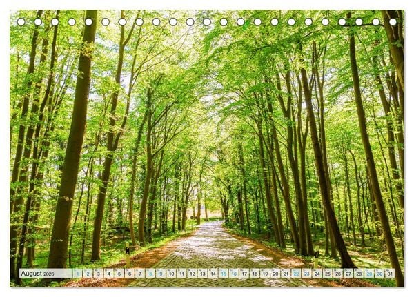 Produktbild: R&uuml;gen in Bildern (Tischkalender 2026 DIN A5 quer), CALVENDO Monatskalender
