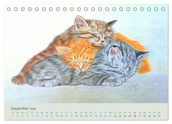 Produktbild: KATZEN PortraiTierART (Tischkalender 2026 DIN A5 quer), CALVENDO Monatskalender