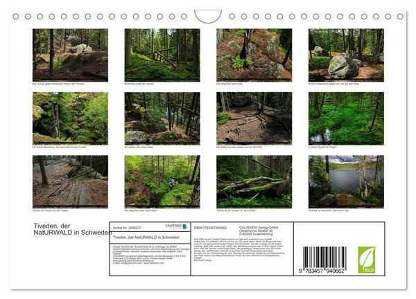 Produktbild: Tiveden, der NatURWALD in Schweden (Wandkalender 2026 DIN A4 quer), CALVENDO Monatskalender