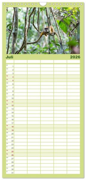 Produktbild: Familienplaner 2026 - Costa Rica - Tierwelt und Landschaften mit 5 Spalten (Wandkalender, 21 x 45 cm) CALVENDO