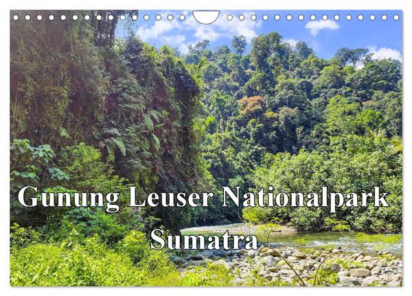 Gunung Leuser Nationalpark Sumatra (Wandkalender 2025 DIN A4 quer), CALVENDO Monatskalender