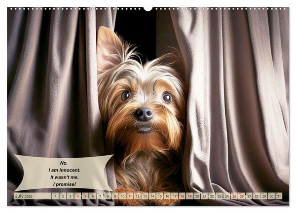 Produktbild: Great fun for Yorkshire Terrier lovers (High Quality Premium Wall Calendar 2026 DIN A2 landscape),CALVENDO 12 Month Wall Calendar