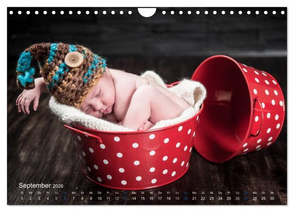 Produktbild: Baby - s&uuml;&szlig;e Tr&auml;ume (Wandkalender 2026 DIN A4 quer), CALVENDO Monatskalender
