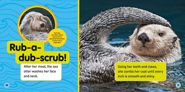 Produktbild: Explore My World: Sea Otters