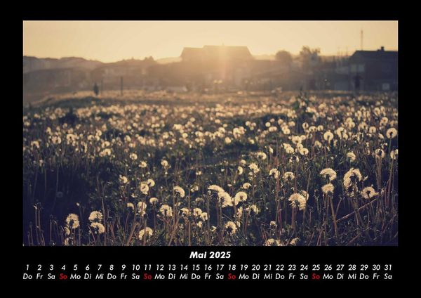 Produktbild: Bilder der Natur 2025 Fotokalender DIN A3
