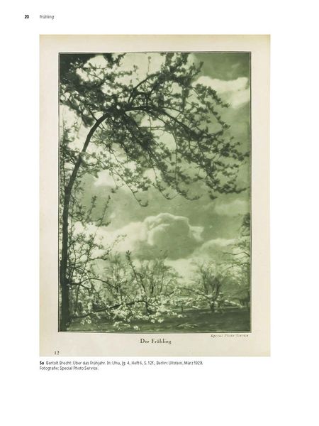Produktbild: Fotopoesie