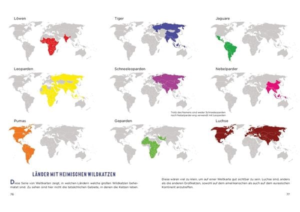 Produktbild: Mad Maps