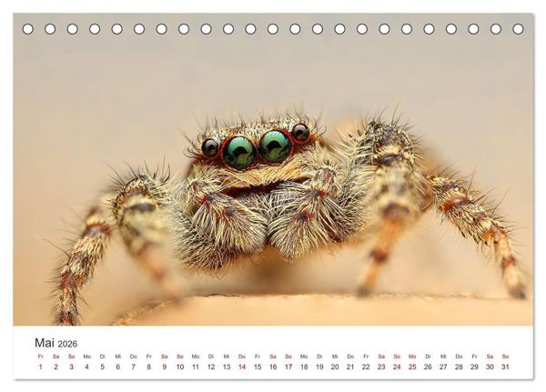Produktbild: Der etwas andere Blickwinkel (Tischkalender 2026 DIN A5 quer), CALVENDO Monatskalender