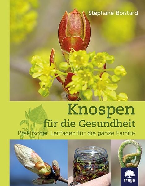 Knospen für die Gesundheit, Gebundene Ausgabe von Stéphane Boistard, Freya, 9783990255070