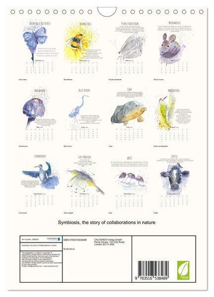 Produktbild: Symbiosis, the story of collaborations in nature (Wall Calendar 2026 DIN A4 portrait), CALVENDO 12 Month Wall Calendar